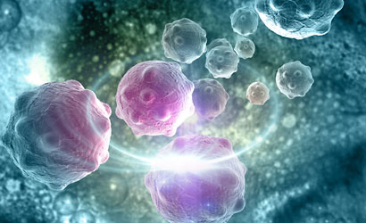 cancer cell
