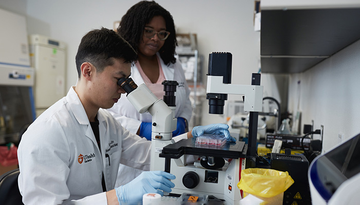 students using microscope