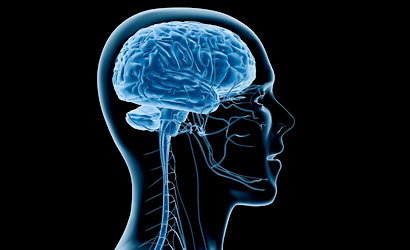 Neuroscience
